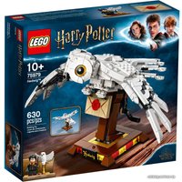 Конструктор LEGO Harry Potter 75979 Букля