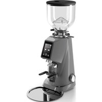 Электрическая кофемолка Fiorenzato F4 EVO (nardo grey)