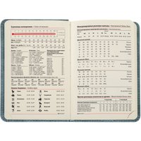  BRAUBERG Status 113369 (серый/голубой)