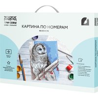 Картина по номерам Три совы Белая сова КХ3040_53849