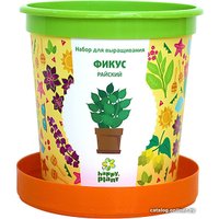 Набор для опытов Happy plant Фикус райский hpn-12 в Могилеве