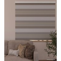 Шторы день-ночь Legrand День-Ночь 140x160 (бежево-коричневый)