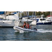 Моторно-гребная лодка BRIG Dingo D330W (серый)