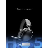 Наушники Дарк Проджект HS5 V2 (черный)