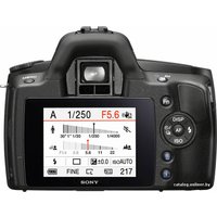 Зеркальный фотоаппарат Sony Alpha DSLR-A290 Body