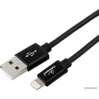 Кабель Cablexpert CC-S-APUSB01Bk-1M