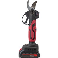 Секатор Edon APS-21CBL (с 1-им АКБ)