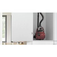 Пылесос Bosch Serie 4 BGC21X350