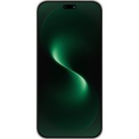 Телефон Huawei nova 15 Pro KLE-LX9 Dual SIM 12GB/512GB (мятный, международная версия)
