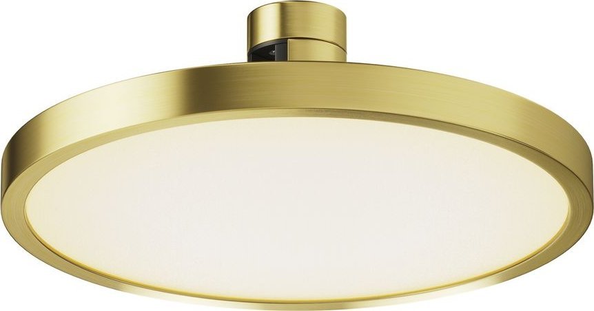 

Трековый светильник Maytoni Technical Flarity Plato TR153-1-10W3K-BS