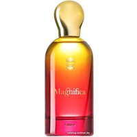 Парфюмерная вода Ajmal Magnifica EdP (100 мл)