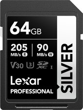 Professional SILVER SDXC LSDSILV064G-BNNNG 64GB