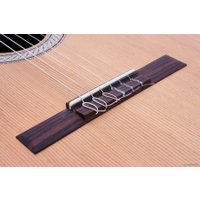 Акустическая гитара Camps Eco-Ronda