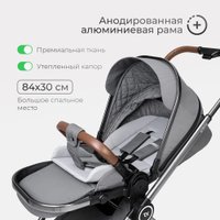 Универсальная коляска Tomix Adele 2 в 1 S760/2 (черный)