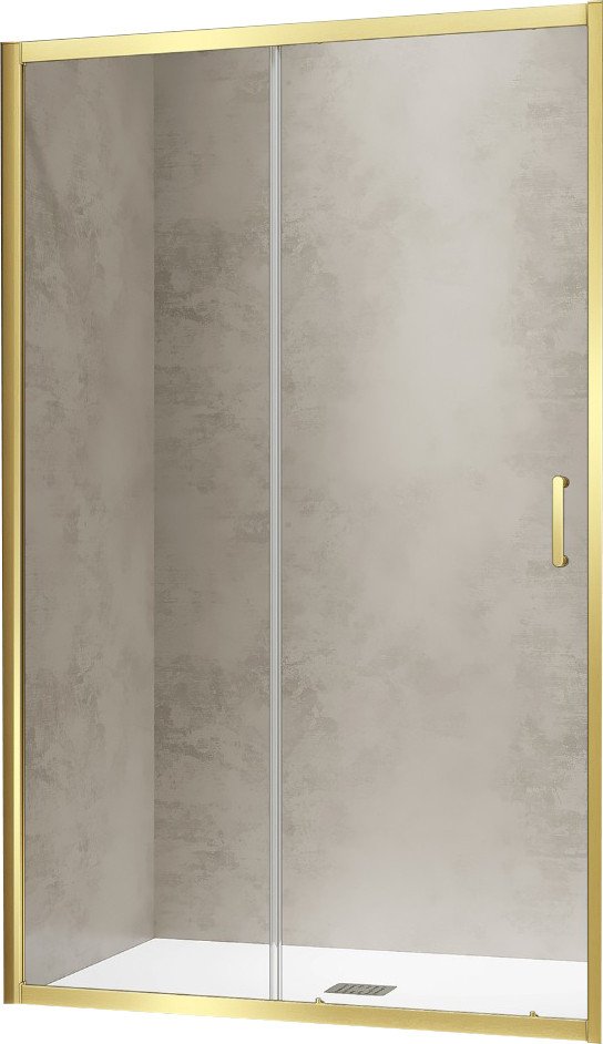 

Душевая дверь RGW PA-114Gb 030811417-16