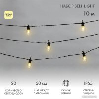 Новогодняя гирлянда Neon-Night Уличная Лофт 10 м 331-355 (теплый белый)