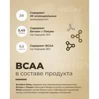 Протеин сывороточный (концентрат) Geon Excellent Whey (двойной моккачино, 920 г) в Бобруйске