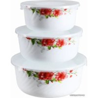 Набор контейнеров Rosenberg R-230252
