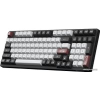 Клавиатура Akko Dracula Castle 3098S (Akko CS Silver)