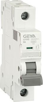 

Выключатель автоматический GEYA GYM9-1P-6B 1P 6A B 6kA 1M GYM91P6B