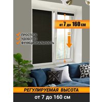 Плиссе Delfa Crep BLO СПШ-36205 (34x160, черный)