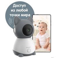 Дополнительная камера Ramicom VRC300C