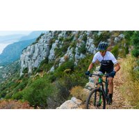 Велосипед Scott Scale 960 (2018)