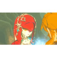  The Legend of Zelda: Breath of the Wild. Особое издание для Nintendo Switch