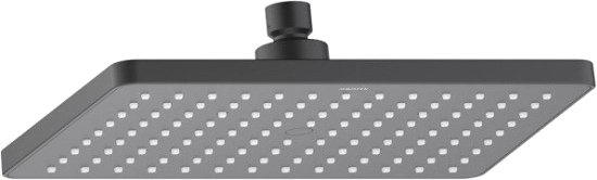 

Душевая лейка Aquatek AQ2087MB