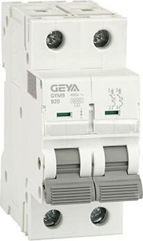

Выключатель автоматический GEYA GYM9-2P-20B 2P 20A B 6kA 2M GYM92P20B