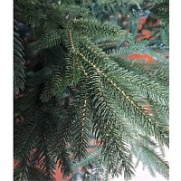 Ель Maxy Poland Императорская литая (1.8м)