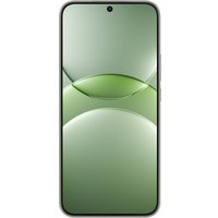 Телефон Huawei nova 13 BLK-LX9 12GB/512GB (дымчатый зеленый) в Борисове