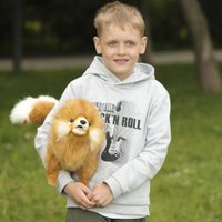 Классическая игрушка Hansa Сreation Померанский шпиц 7018 (28 см)