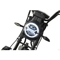 Электроскутер White Siberia CityCoco WS-Pro Max 3950W 21Ah (с черными брызговиками) в Бресте