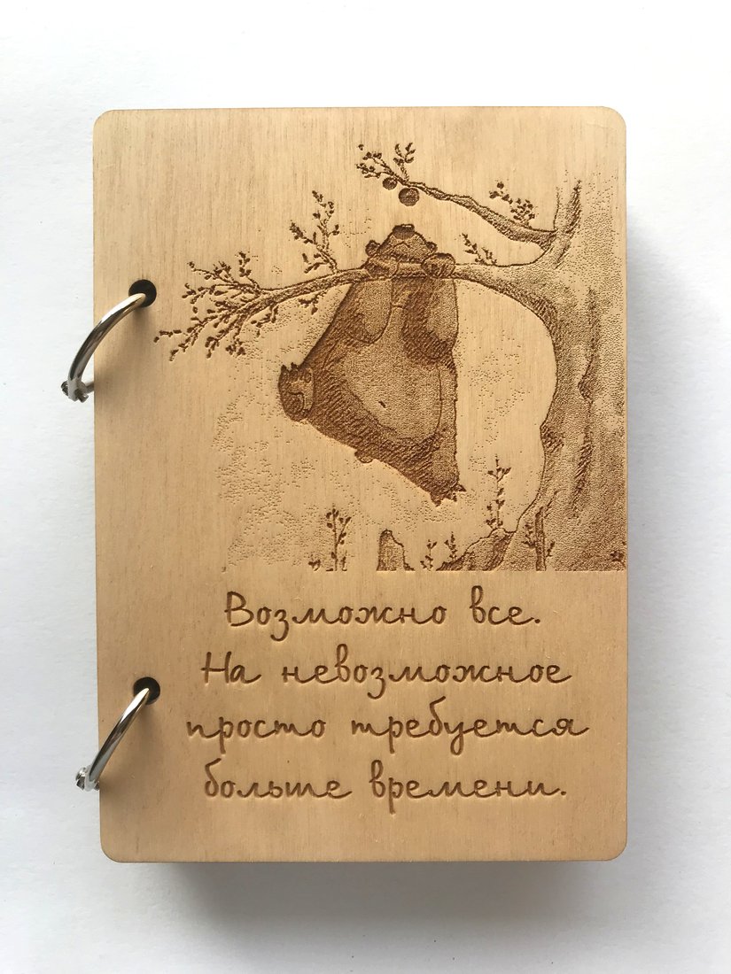 

Ежедневник Творческая мастерская "Пуговка" Анастасии Минич А6 на кольцах Мишка