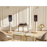 Полочная акустика Radiotehnika S-20NA (орех)