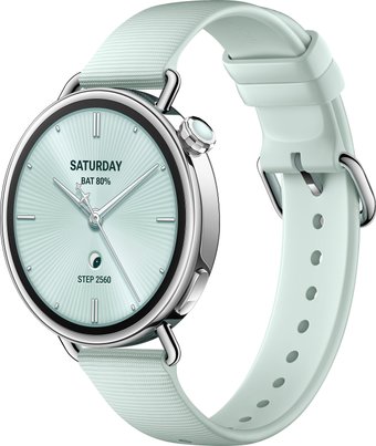 watchs441mmmnt