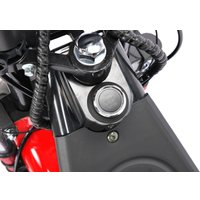 Электроскутер White Siberia CityCoco WS-Pro Trike 3000W 21Ah (с красными брызговиками)