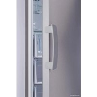 Морозильник Indesit DFZ 5175 G