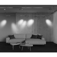 Трековый светильник Technical TR144-1-12W4K-W-BS
