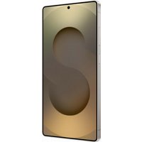 Телефон Samsung Galaxy S25 Ultra SM-S938B 12GB/512GB (серый титан)