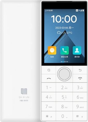 QIN F22 2GB/16GB (китайская версия, белый)