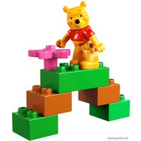 Конструктор LEGO 5945 Winnie the Pooh’s Picnic