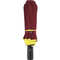 Складной зонт DoubleW TBD0190657001C