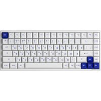 Клавиатура Akko 3084B Plus White & Blue (Akko CS Jelly Purple)