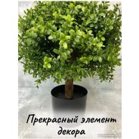 Искусственное растение Merry Bear Home Decor Самшит шаровидный KM5305