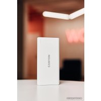 Внешний аккумулятор Canyon PB-106 10000mAh (белый)