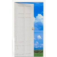 Москитная сетка на дверь Мультидом RZ84-37 в Мозыре