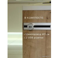 Трековая розетка AVEL шинопровод 40 см + 2 USB (серебристый)