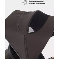 Универсальная коляска Rant Flex Therm RA112 (2 в 1, shine brown)